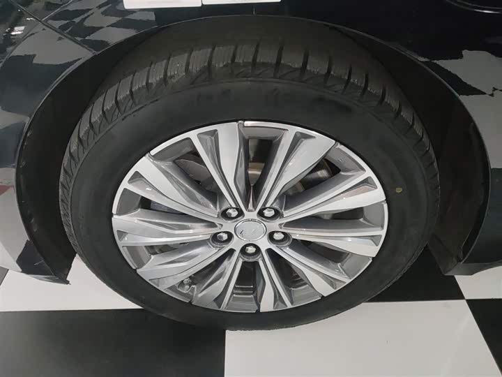 Фото 23 - Hongqi E-QM5