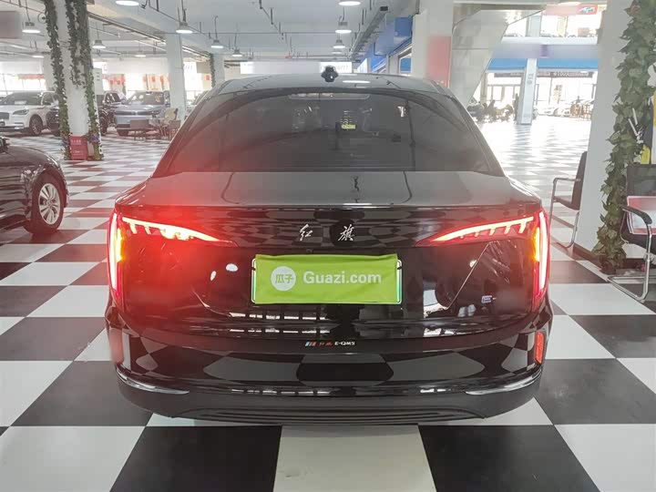 Фото 6 - Hongqi E-QM5