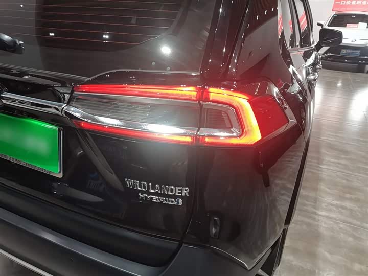 Фото 8 - Toyota Wildlander