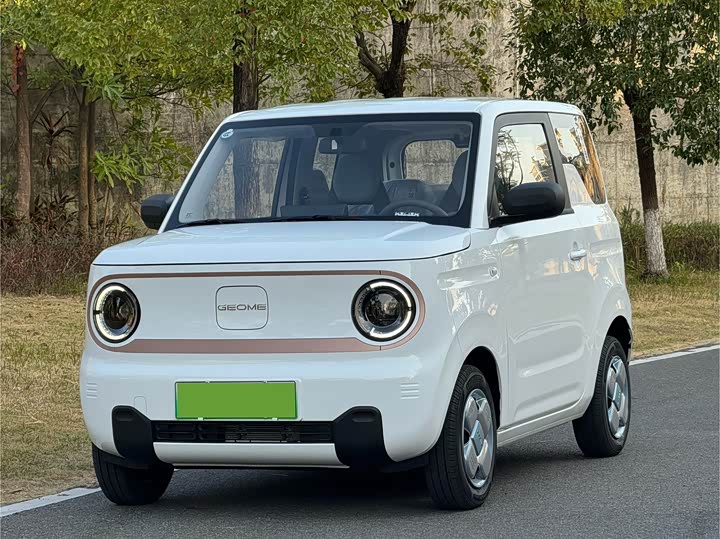 Фото 1 - Geely Galaxy Panda Mini