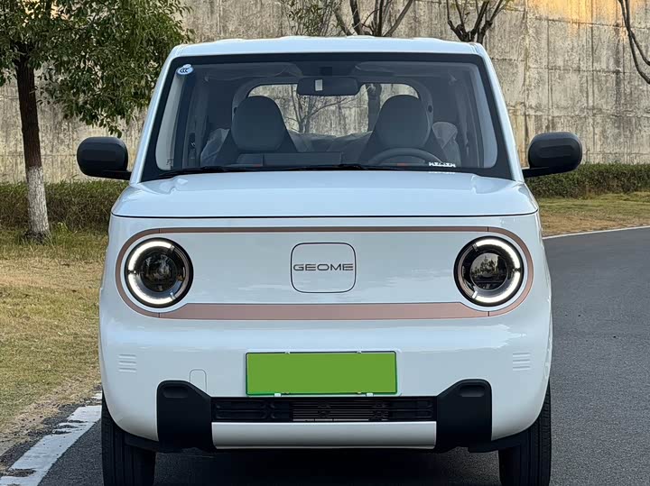 Фото 2 - Geely Galaxy Panda Mini