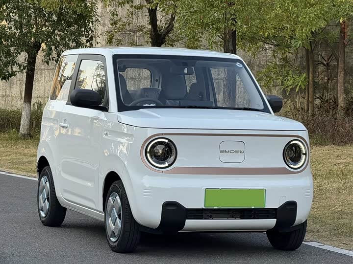 Фото 3 - Geely Galaxy Panda Mini