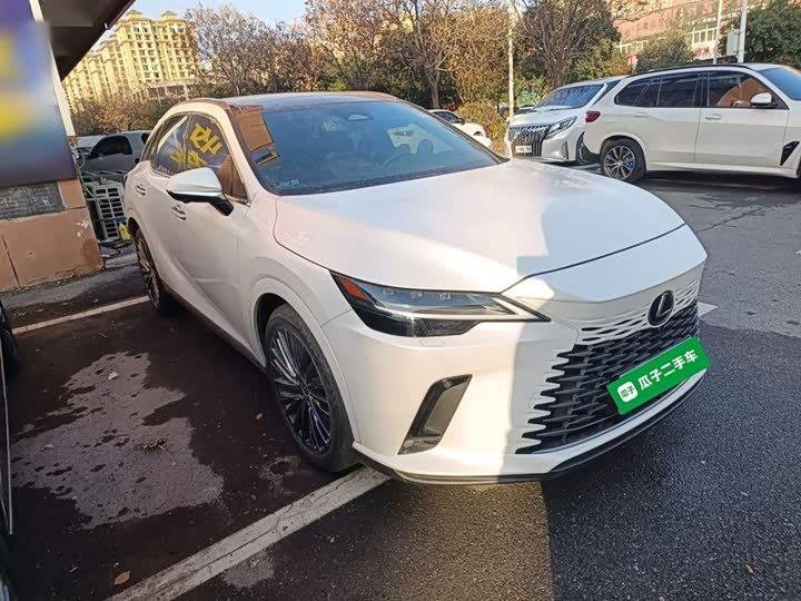 Фото 4 - Lexus RX