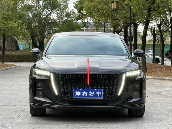 Фото 2 - Hongqi H5