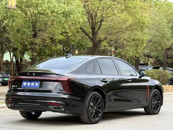 Фото 6 - Hongqi H5