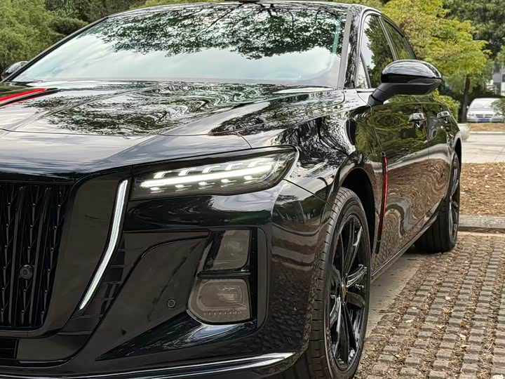 Фото 8 - Hongqi H5