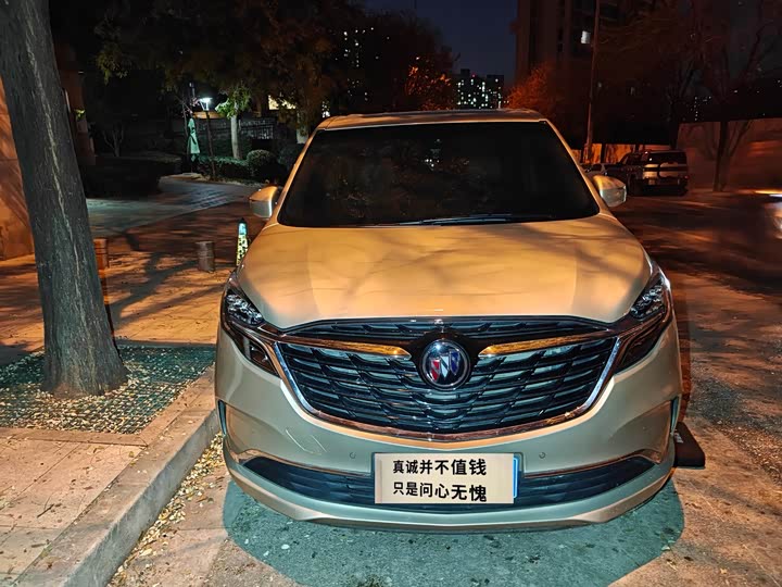 Фото 2 - Buick GL8 ES