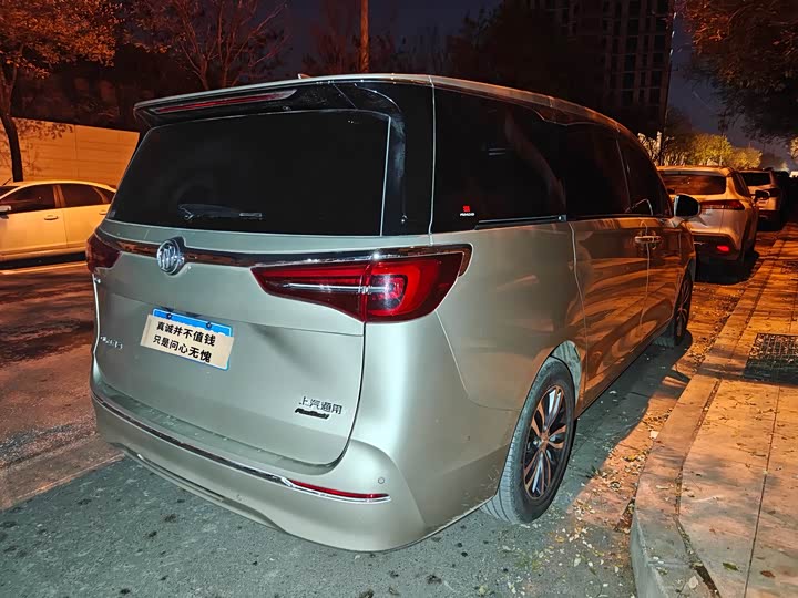 Фото 7 - Buick GL8 ES