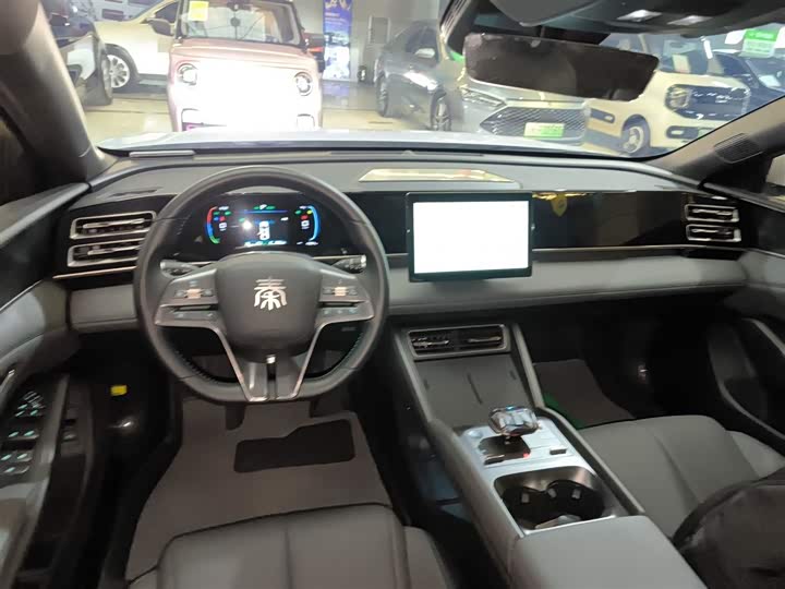 Фото 10 - BYD Qin L