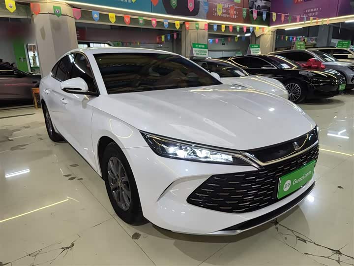 Фото 4 - BYD Qin L