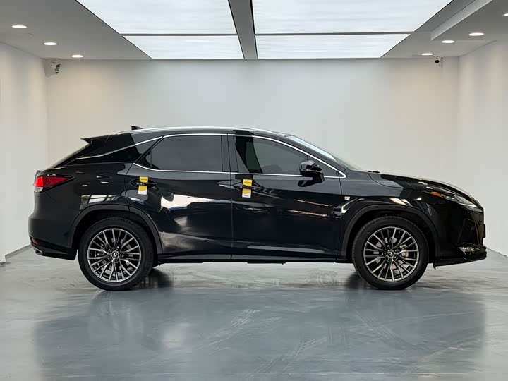 Фото 10 - Lexus RX