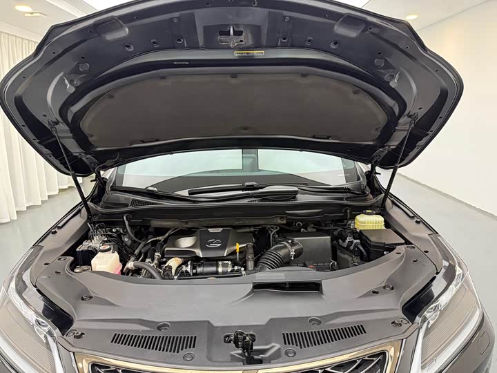 Фото 18 - Lexus RX