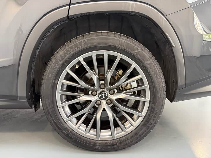 Фото 20 - Lexus RX