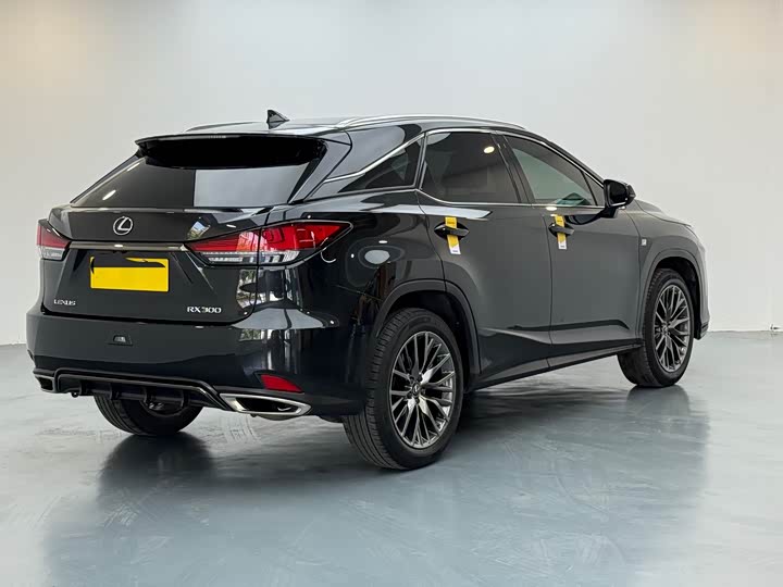 Фото 5 - Lexus RX