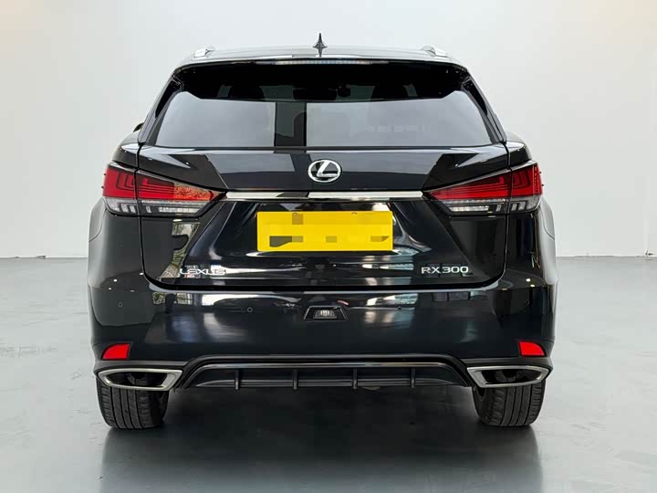 Фото 6 - Lexus RX