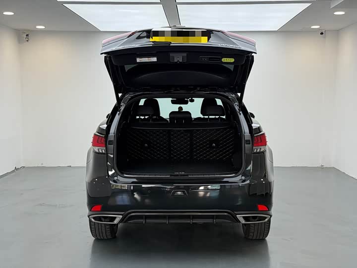 Фото 7 - Lexus RX