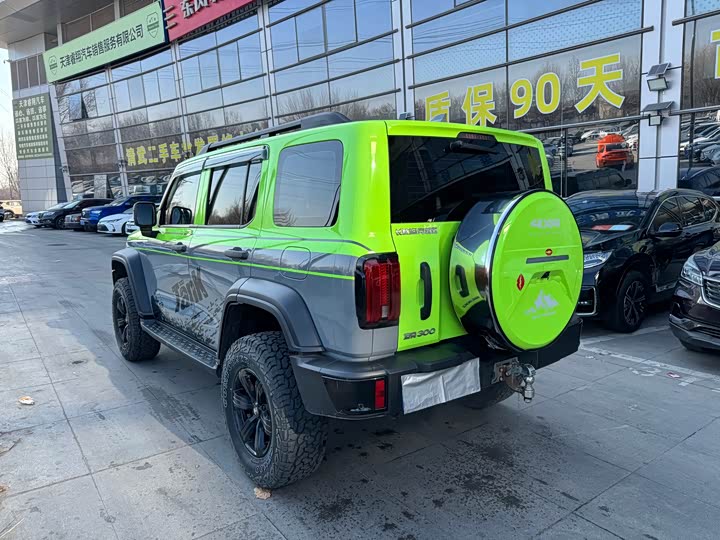 Фото 13 - Tank 300