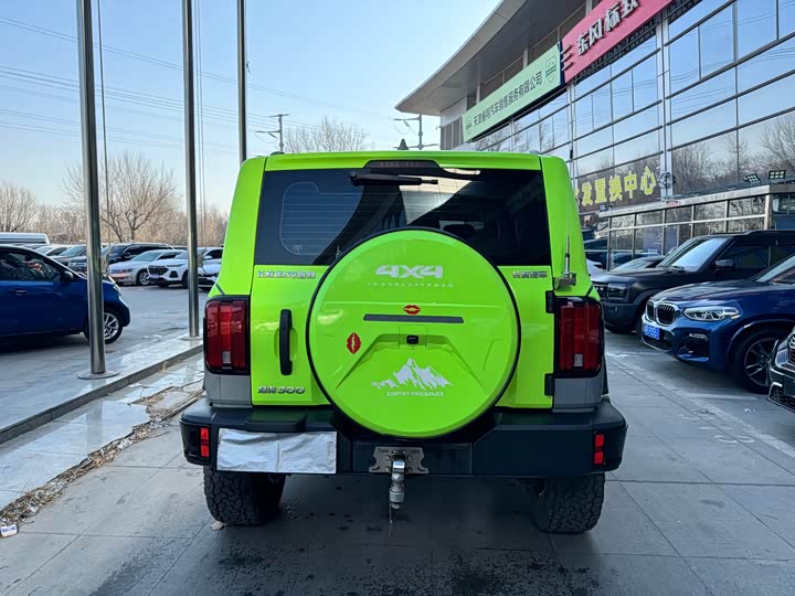 Фото 14 - Tank 300