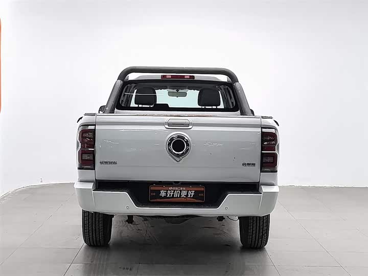 Фото 4 - Great Wall King Kong Poer