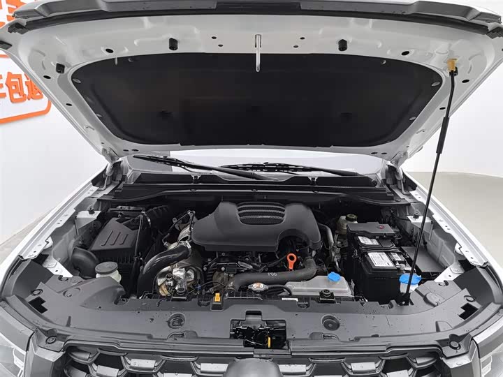 Фото 6 - Great Wall King Kong Poer