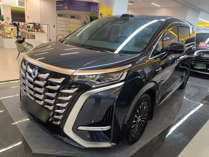 Фото 1 - Denza D9