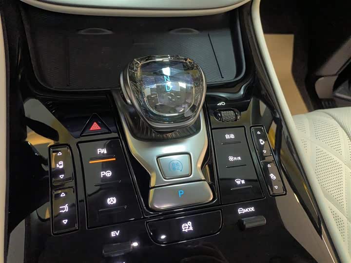 Фото 14 - Denza D9