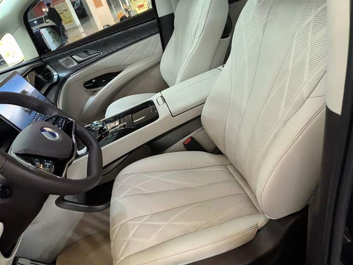 Фото 15 - Denza D9