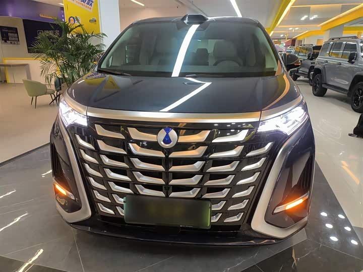 Фото 3 - Denza D9