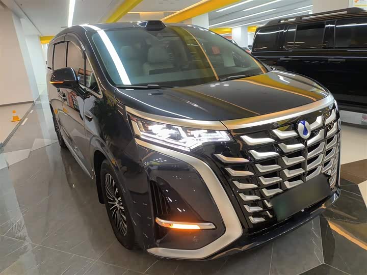 Фото 4 - Denza D9