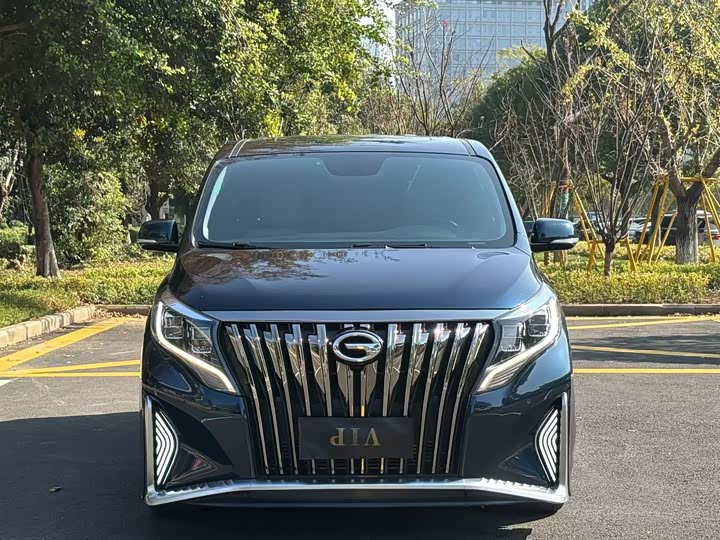 Фото 2 - GAC Trumpchi M8