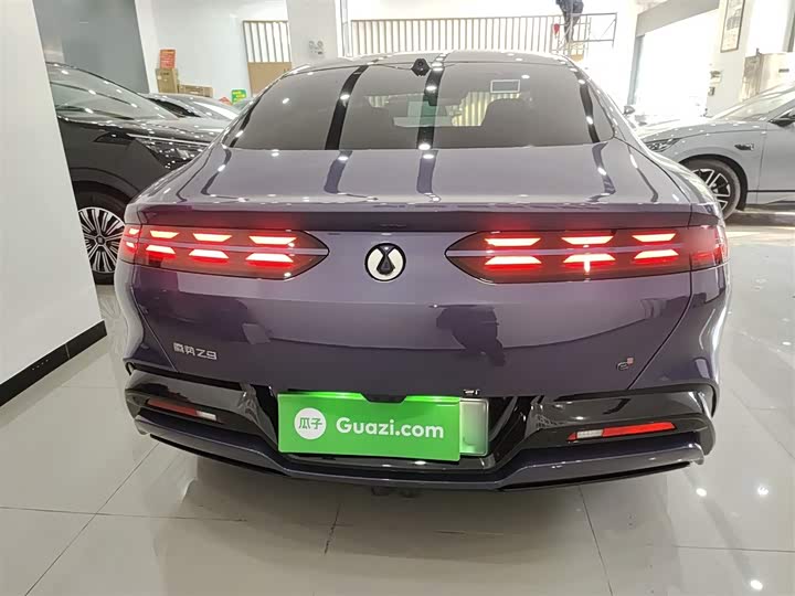 Фото 6 - Denza Z9