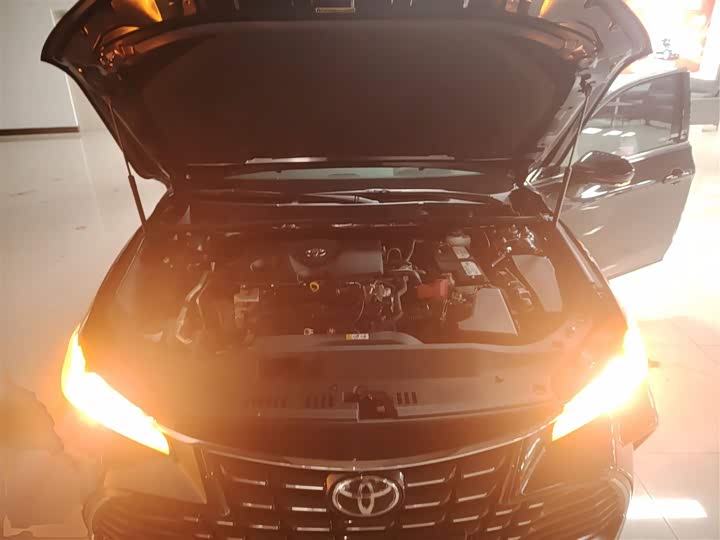 Фото 20 - Toyota Avalon