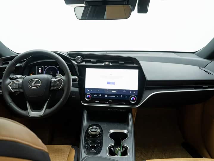 Фото 12 - Lexus RZ