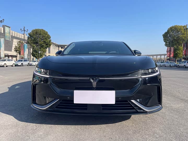 Фото 2 - Voyah Passion