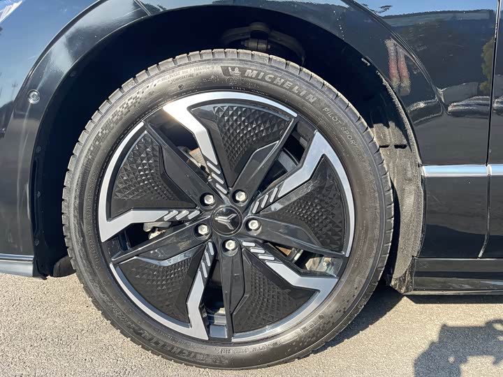 Фото 4 - Voyah Passion