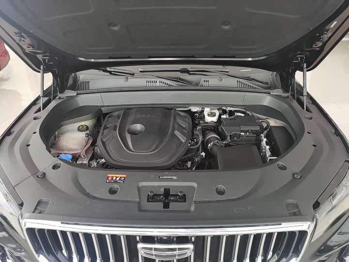 Фото 13 - Geely Monjaro