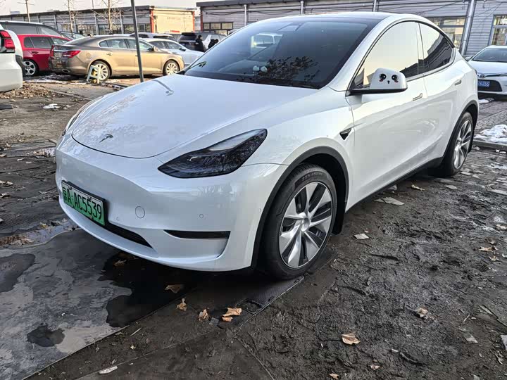 Фото 1 - Tesla Model Y