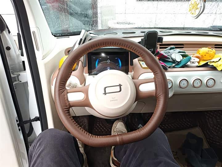 Фото 11 - Bestune Pony