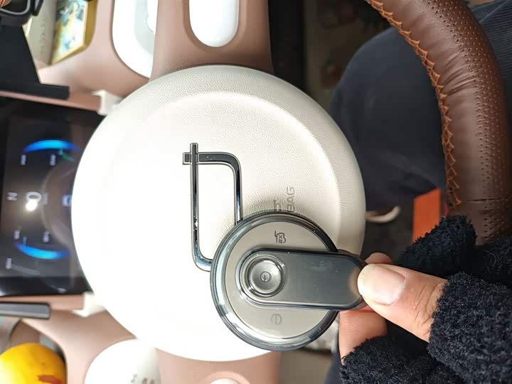 Фото 9 - Bestune Pony