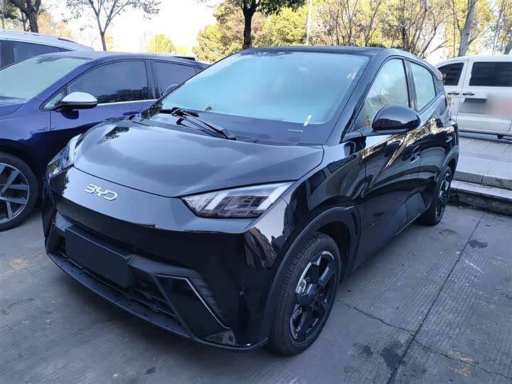 Фото 1 - BYD Seagull