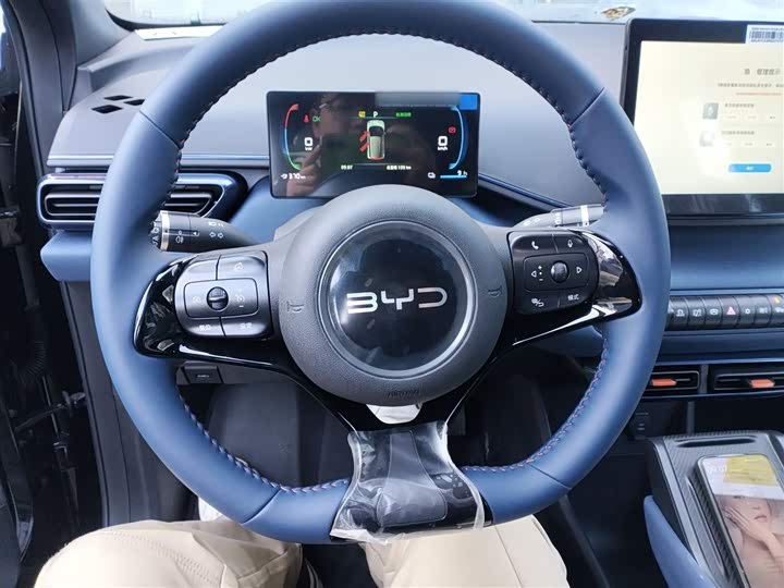 Фото 11 - BYD Seagull