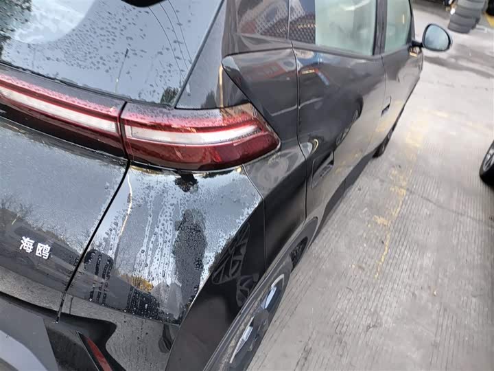 Фото 8 - BYD Seagull