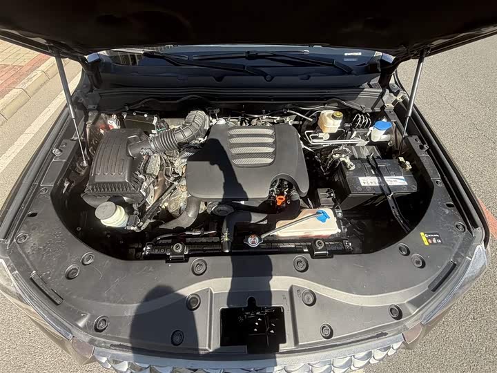 Фото 15 - Great Wall Pao