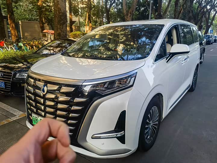 Фото 1 - Denza D9