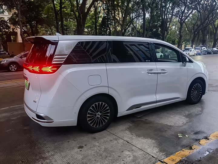 Фото 2 - Denza D9