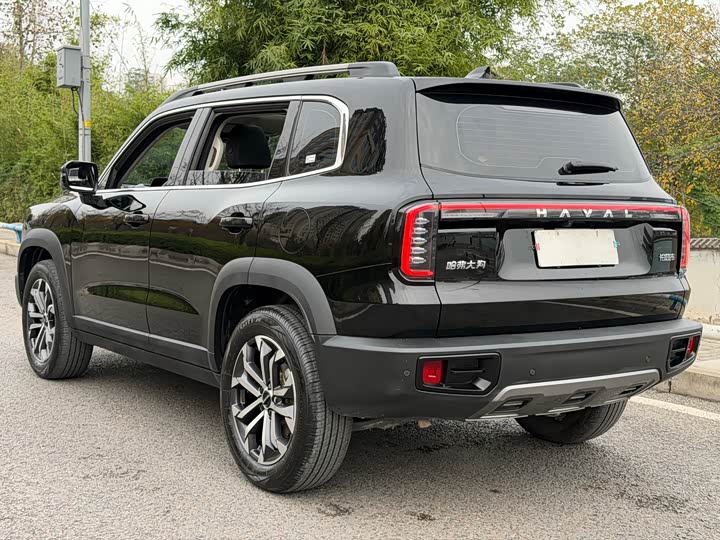 Фото 25 - Haval Dargo