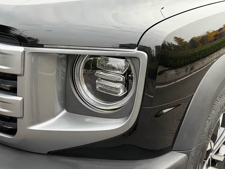 Фото 4 - Haval Dargo