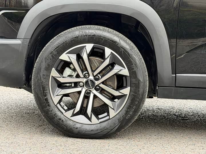 Фото 6 - Haval Dargo