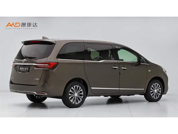 Фото 3 - Buick GL8 ES