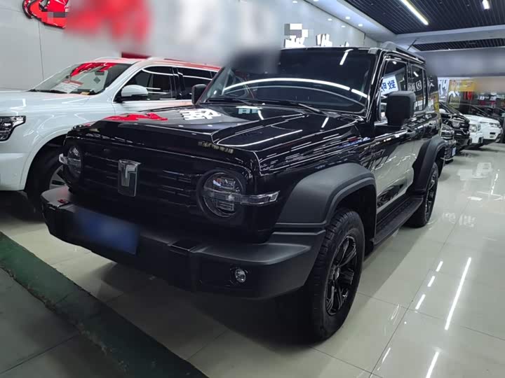 Фото 1 - Tank 300